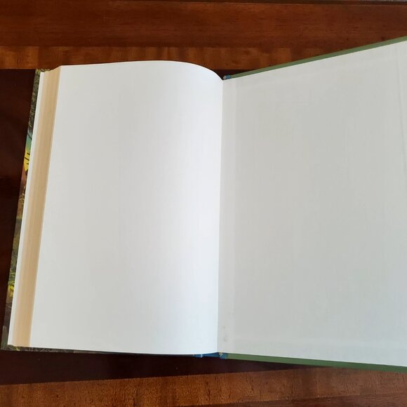 2006 The Adventures of Robin Hood by Howard Pyle Treasury of Illustrated Classic - Picture 10 of 10